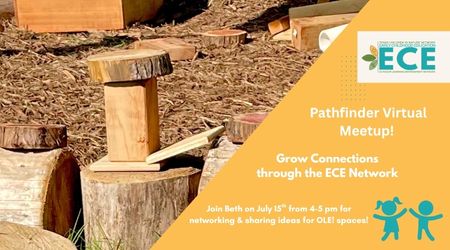 Pathfinder virtual meet up