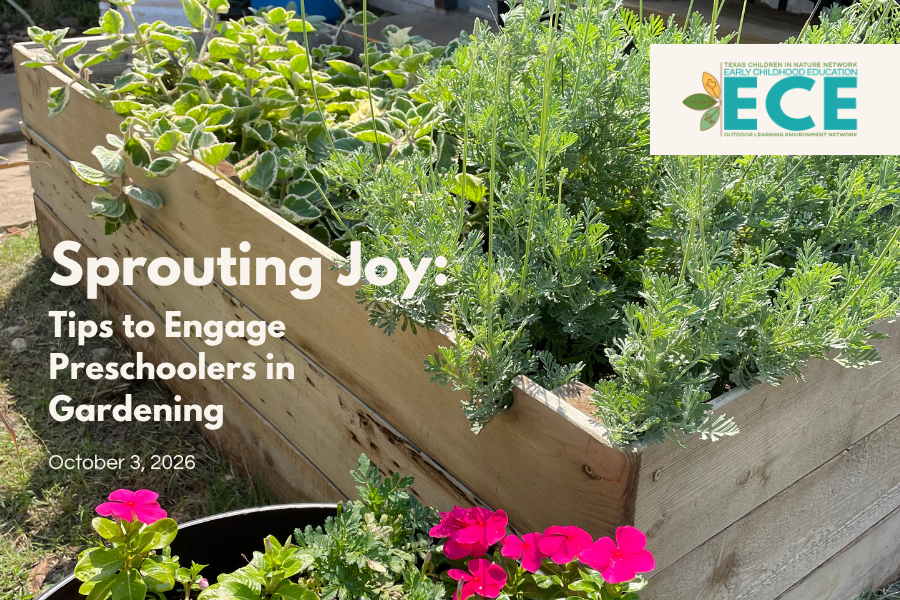 garden box