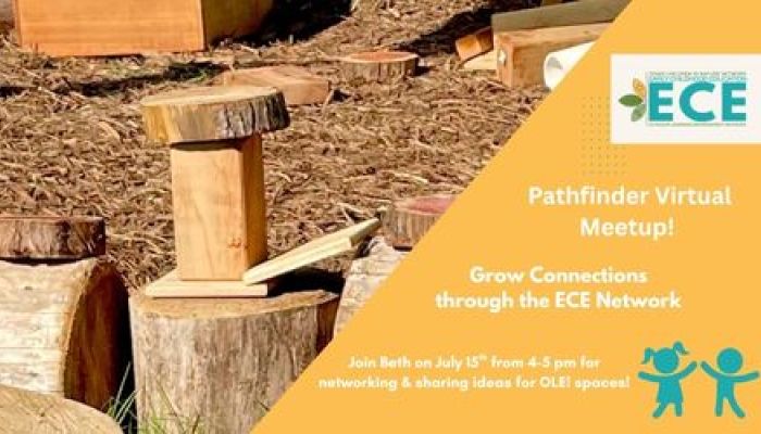 Pathfinder virtual meet up 