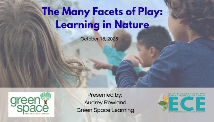 Facets of Play