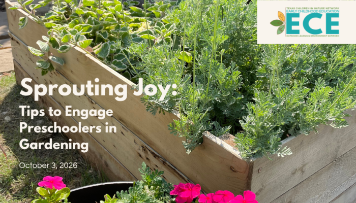 garden box